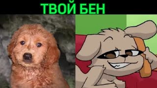 Говорящий Бен Стареет // ТВОЙ БЕН