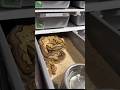 Man Feeding a Mouse to a Dangerous Snake 🐍🔥