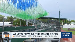 In the 608: Madison Mallards return to the Duck Pond on Memorial Day