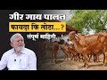 गीर गाय पालन फायदा कि तोटा संपूर्ण माहिती || GeerGai Palan Sampurna Mahiti || #kisanraaj agriculture