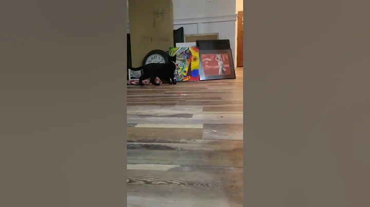 midnight playing