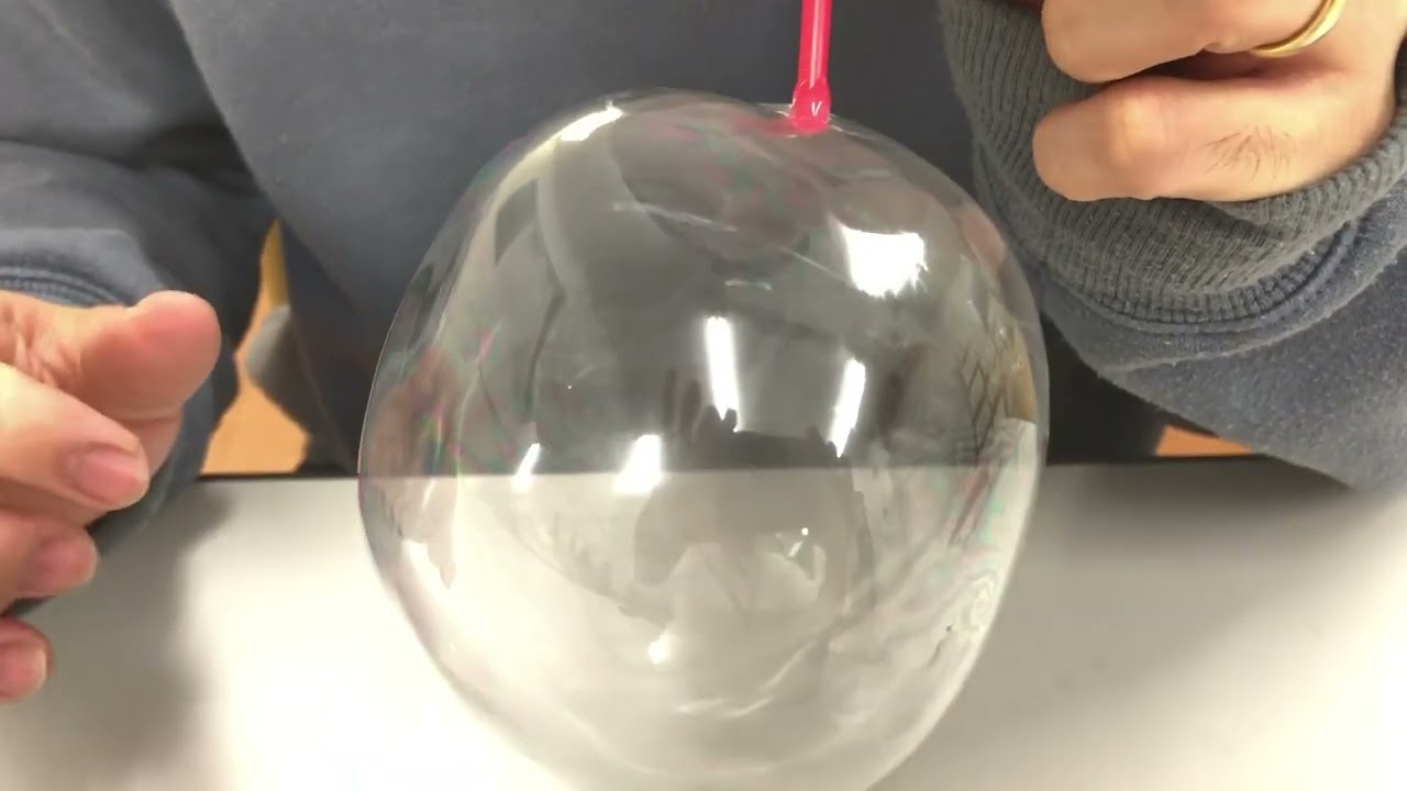 商品紹介 台紙 とらやのカラートラバルーン 24付 Trydg Youtube