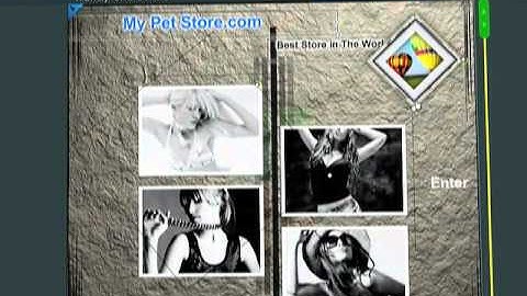 Build your own flash website