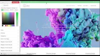 Using The Theme Customizer
