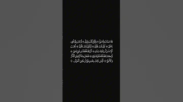 القارئ عبدالعزيز الفقيه سورة القيامة 