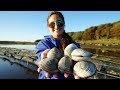 CLAMMING! CATCH CLEAN and COOK! Oyster Farm in Massachusetts!