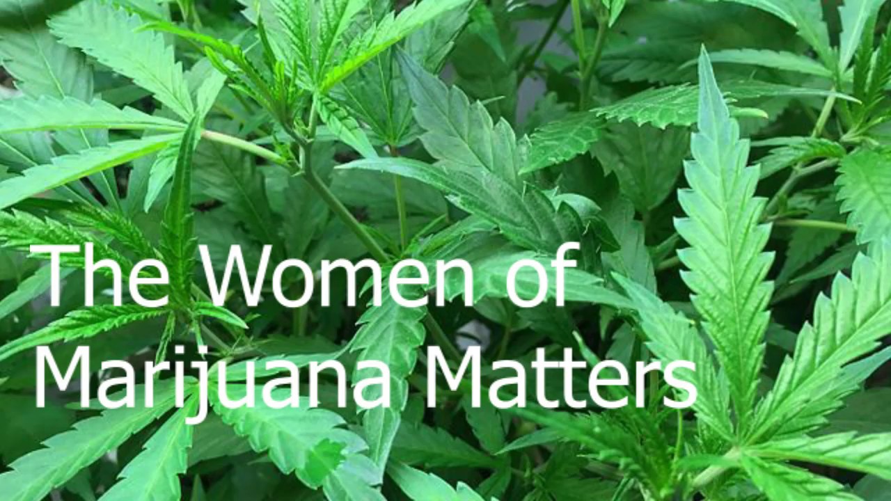 The Women of Marijuana Matters (Narrated Article)