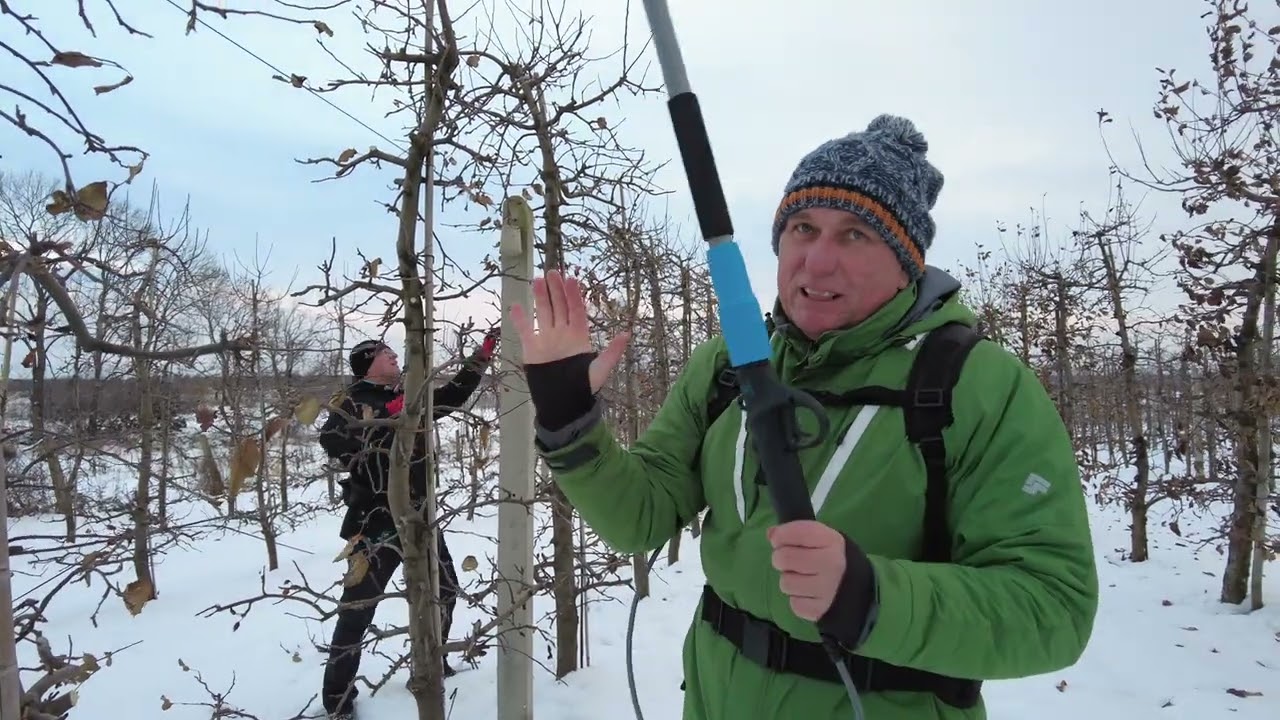 Opinia klienta o sekatorze Campagnola Easy 80 po czterech sezonach cięcia