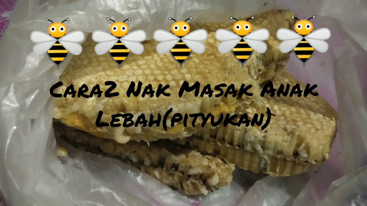 🐝🐝Cara-Cara Nak Masak Anak Lebah(Pityukan)🐝🐝 