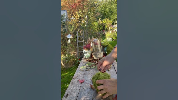 Hortensienblüten Herbstkugel🤍#diyideas #flowers #decoration #decorationideas #autumn #autumndecor