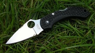 Обзор ножа Spyderco Dragonfly