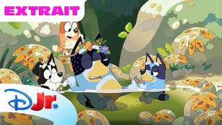 Rest In Nature Bluey Excerpt Animated Cartoon