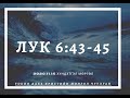 2020.11.15 Токио дахь Христийн монгол цуглаан "ЛУК 6:43-45 " Сайн үр жимс