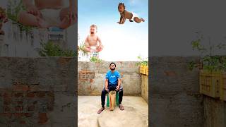 Flying Crying babies catching vs Gorilla vs goat & elephant - Funny vfx magic 😄