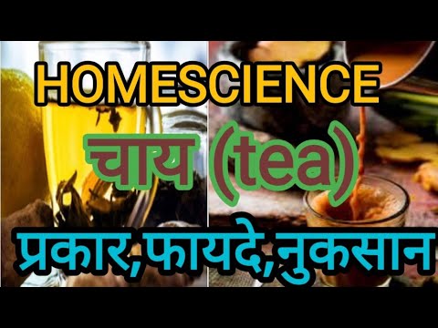 वीडियो: किस चाय में थियोब्रोमाइन होता है?