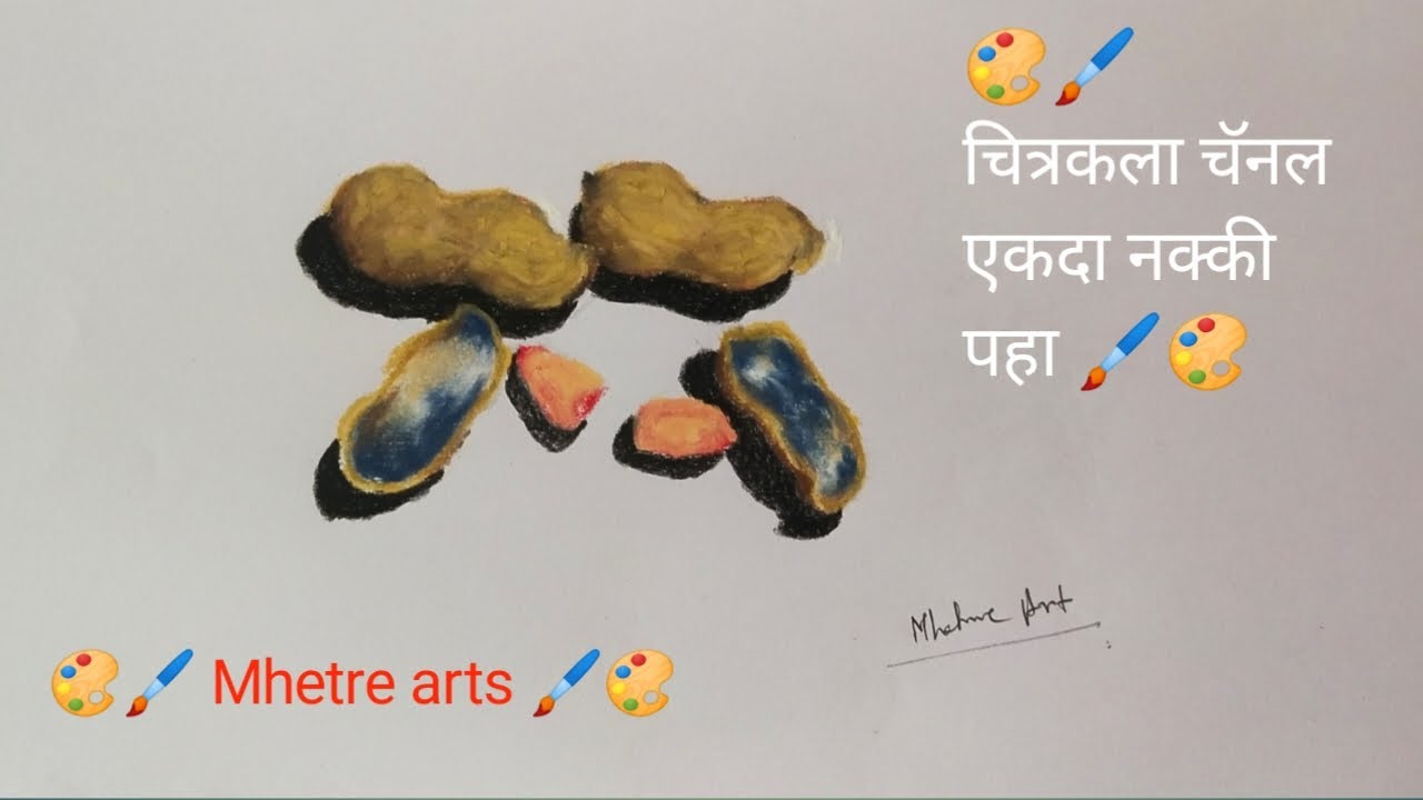 How To Draw Groundnut || How To Draw Shenga Step By Step || How To Draw ...