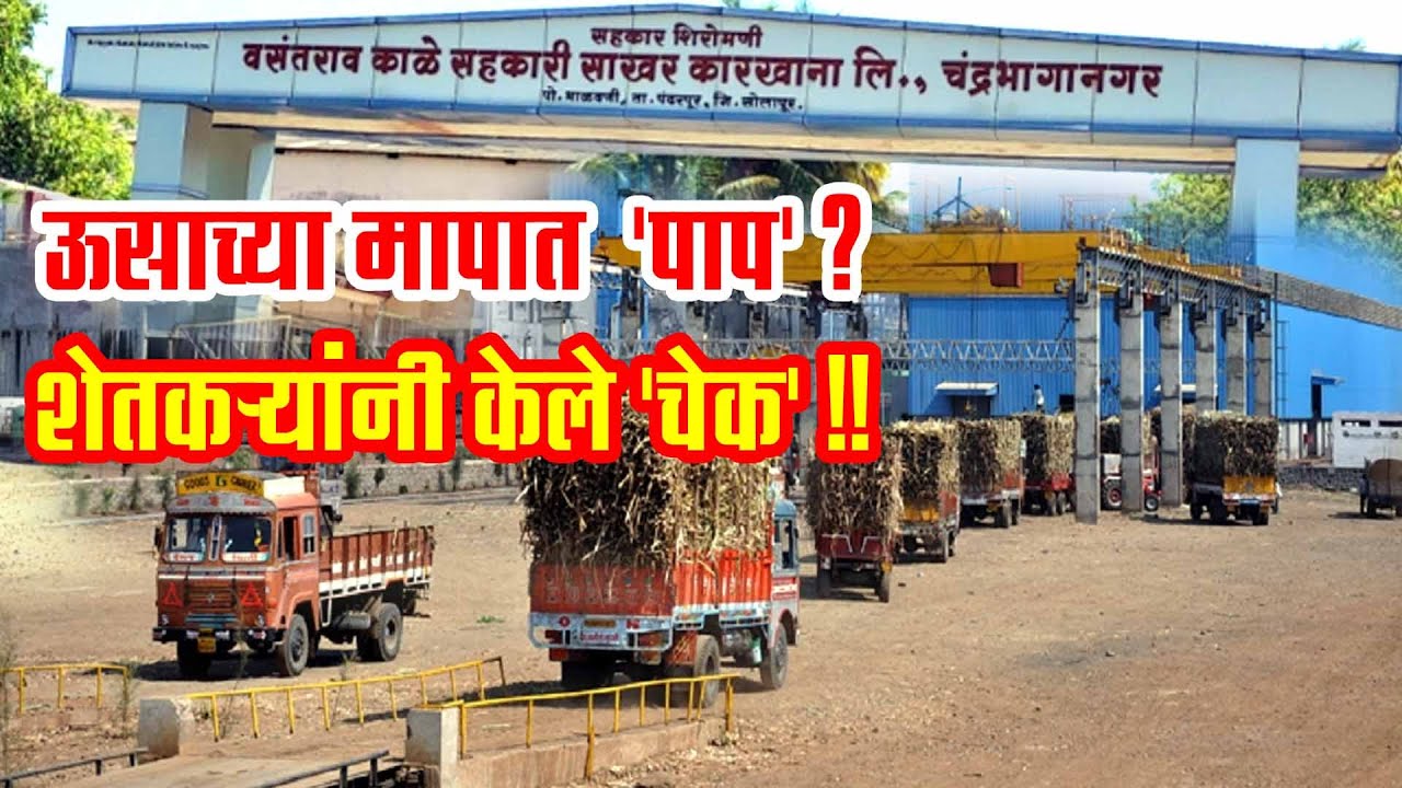 साखर कारखाना वजनात फसवतोय ? शेतकऱ्याने केले दोन ठिकाणी वजन आणि ---