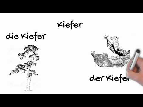 Video: Wie Man Homonyme Und Mehrdeutige Wörter Unterscheidet