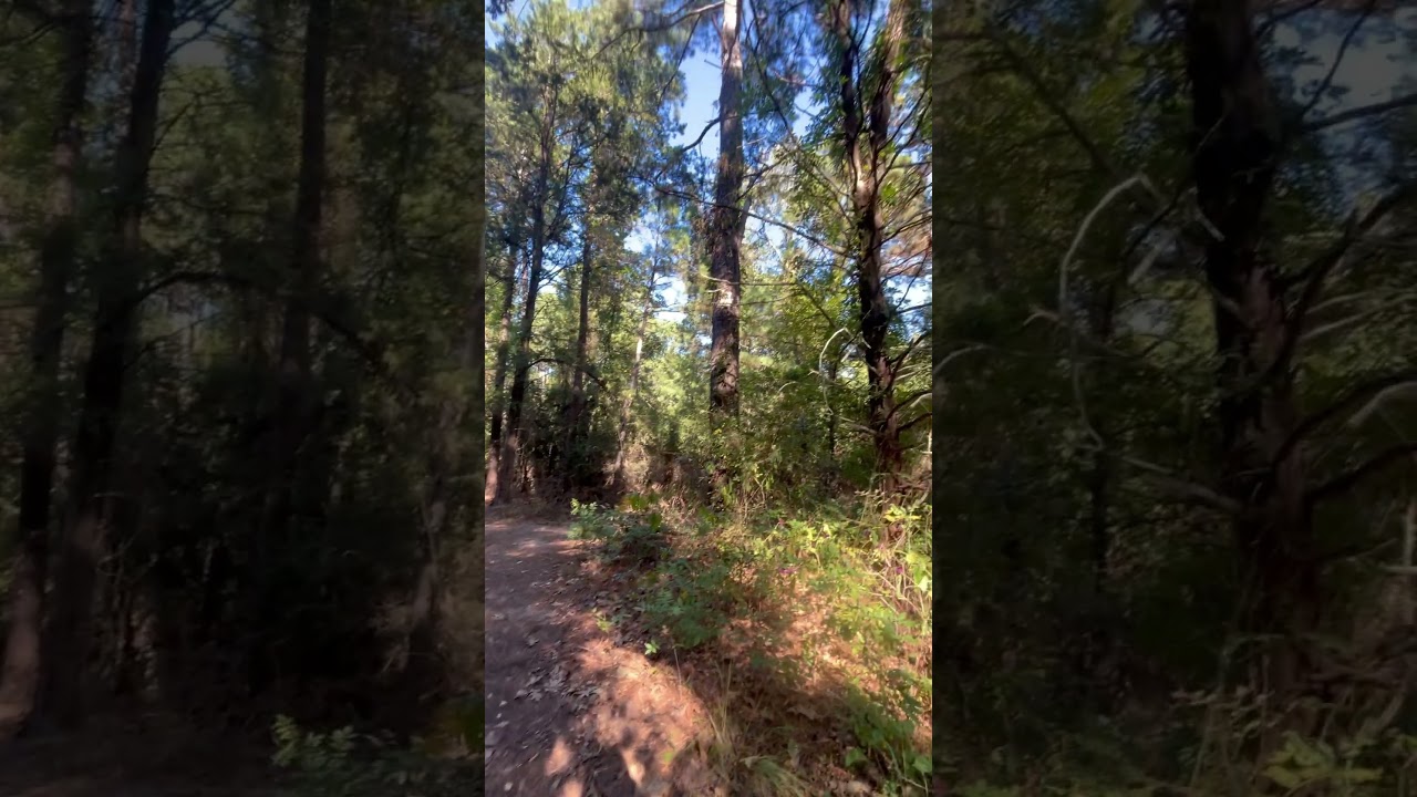 Enjoying the outdoor 