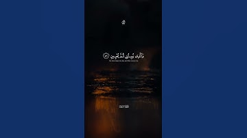 الذي خلقني فهو يهدين - من سورة الشعراء - سكينة و راحة | قناة الفردوس الأعلى #fyp