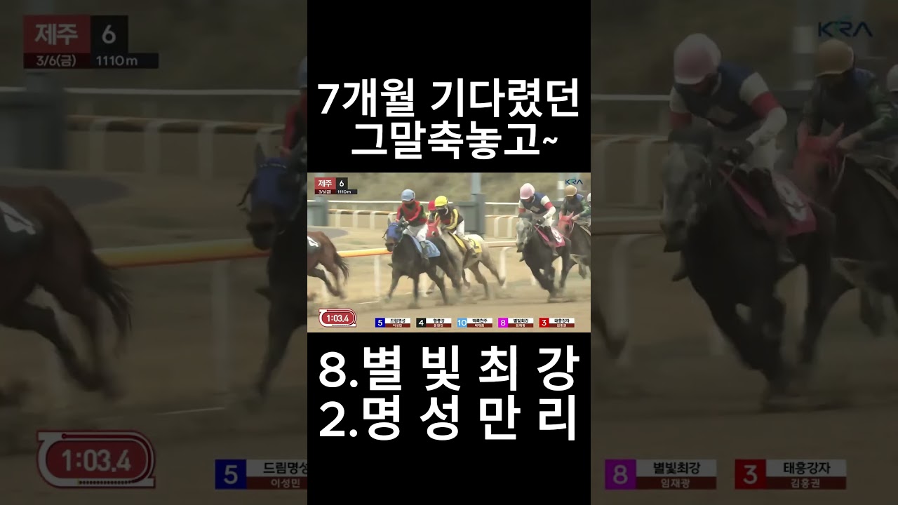 7개월 기다렸던 그 말  #경마  #경마예상  #경마방송  #경마예상방송  #서울경마  #금요경마  #토요경마  #일요경마 #경마장