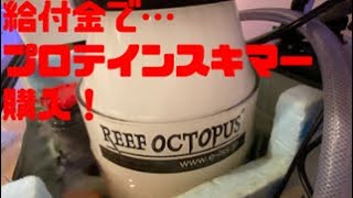 「海水魚水槽」給付金で…プロテインスキマー購入しました！