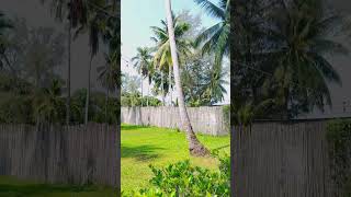 Koh Sdach resort Cambodia🇰🇭