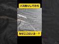なぜここにいる？#shorts #バス釣り
