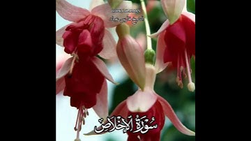 سورة الإخلاص | الشيخ فارس عباد،  استغفر الله العظيم واتوب اليه، تلاوه خاشعه(3)