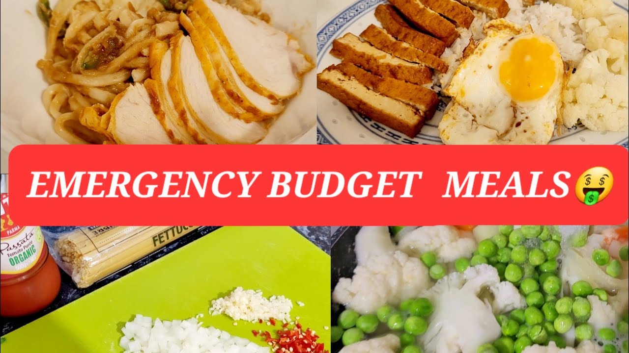 EXTREME EMERGENCY BUDGET MEALS USING MARK DOWNS / FRUGAL MEALS / FRUGAL