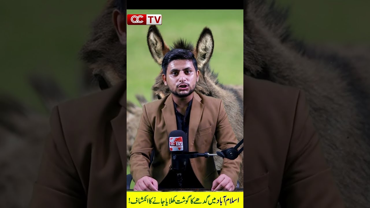 Donkey Meat Served In Islamabad Shocking Revelation Exposed MeatScandal FakeMeatAlert