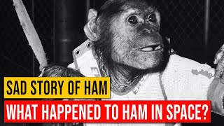 What Happened to Ham in Space?