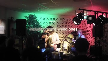 BRAINCHILD videolog 4 28/1-11/2 2012