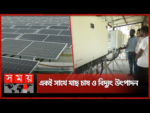 দেশের প্রথম ভাসমান সৌরবিদ্যুৎ কেন্দ্র চালু | Chapainawabganj News | Solar Power Plant | Somoy TV