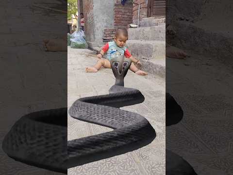 snake vfx video #youtubeshort #2023 #trending #viral #magic #funnyvideo Nag video Har Har Shambhu 🙏🙏