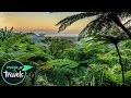 Top 10 Beautiful Rainforests