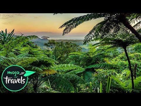 Top 10 Beautiful Rainforests