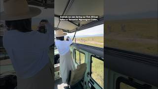 Yes That Monkey Has Blue  africatravels ngorongorocrater ngorongoro africansafari tanzania