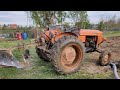 FIAT 411R + BORDIN ARATURA |CAB VIEW| hard plowing