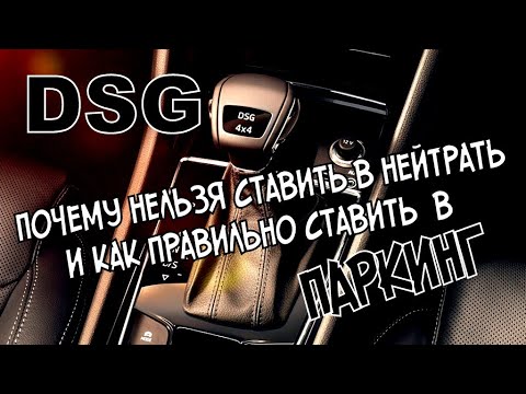 DSG: Правила Паркинга и Нейтрали (2020)