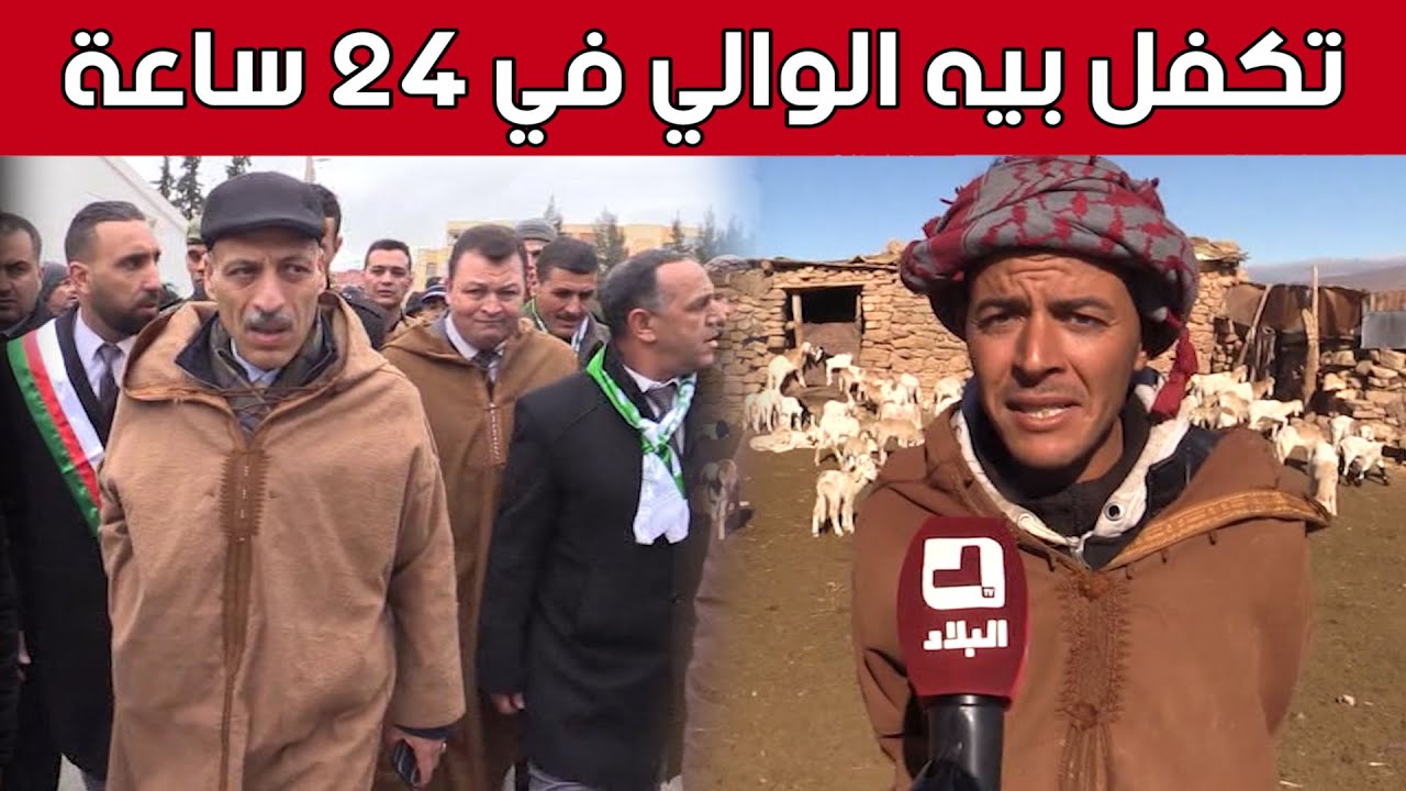 والي البويرة يتكفل بفلاح يملك أكثر من 1000 رأس غنم ويوفر له الكهرباء بإنشاء 30 عمود من أجله.. شاهد:
