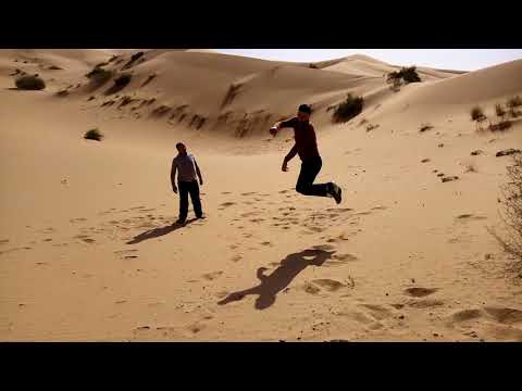 استراحة النحالين بعد ساعات من العمل الشاق في تاغيت بشار واد زوزفانة