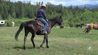 What to do with brace in your horse's body! Learn how.