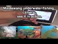 #Maotewang #icefishing  underwater ice fishing camera see it in action.