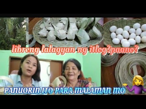 Vlog 26| Paggawa ng lalagyan ng itlog gamit ang dahon ng buri(pamalit