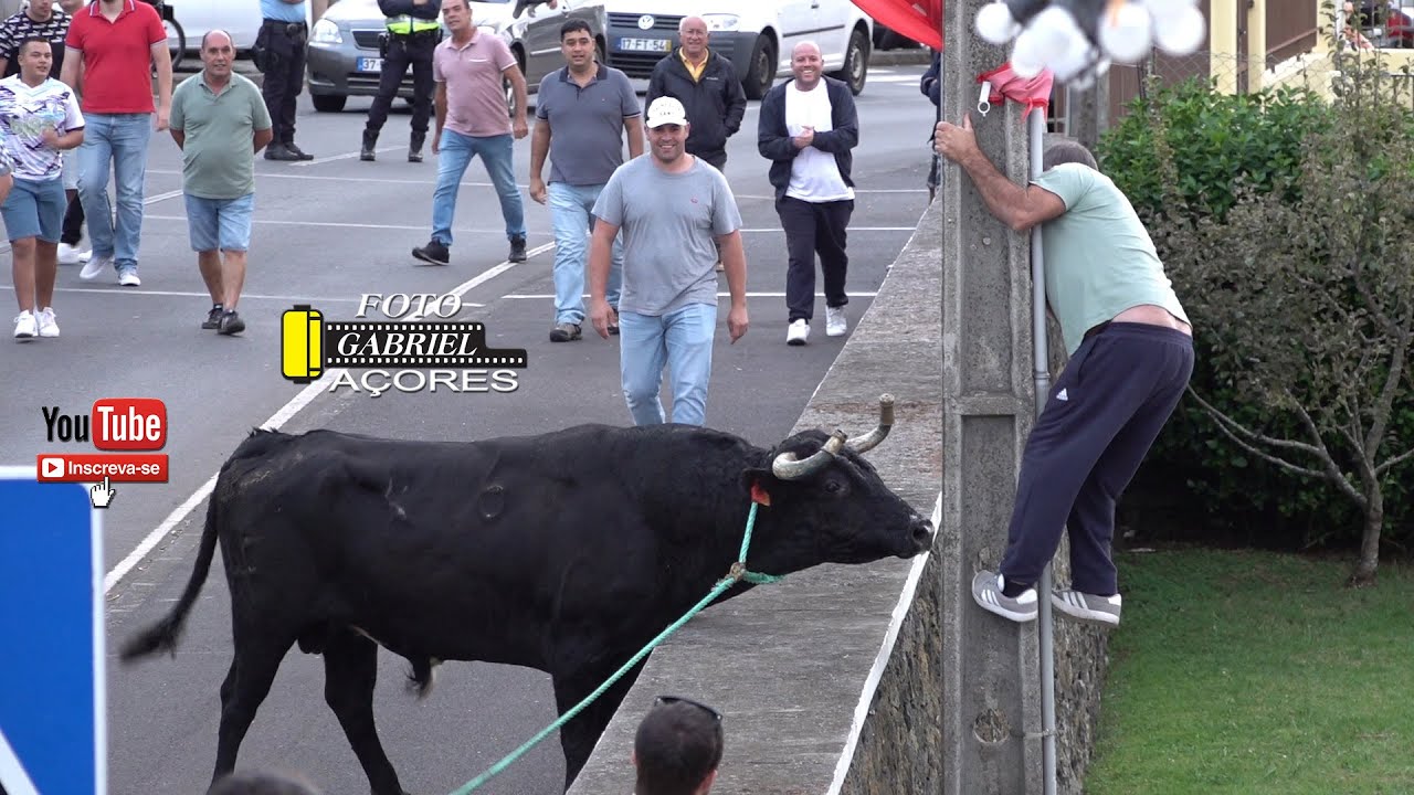 Tourada - Cabo da Praia 07-09-2025 Ganadeiros JG- JA- HF- RB.