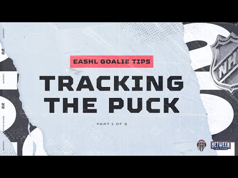 NHL 22 Basic Goalie Tips - Tracking the Puck
