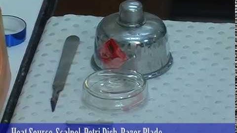 Ultramicrotomy: Tools used for Shaping Resin Blocks