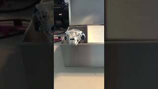 Snake in a Box 1 #robot #3dprinting #diy, arduino