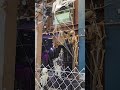 West Hollywood's Spookiest Bar Decorations for Halloween #halloween #West Hollywood # WeHo